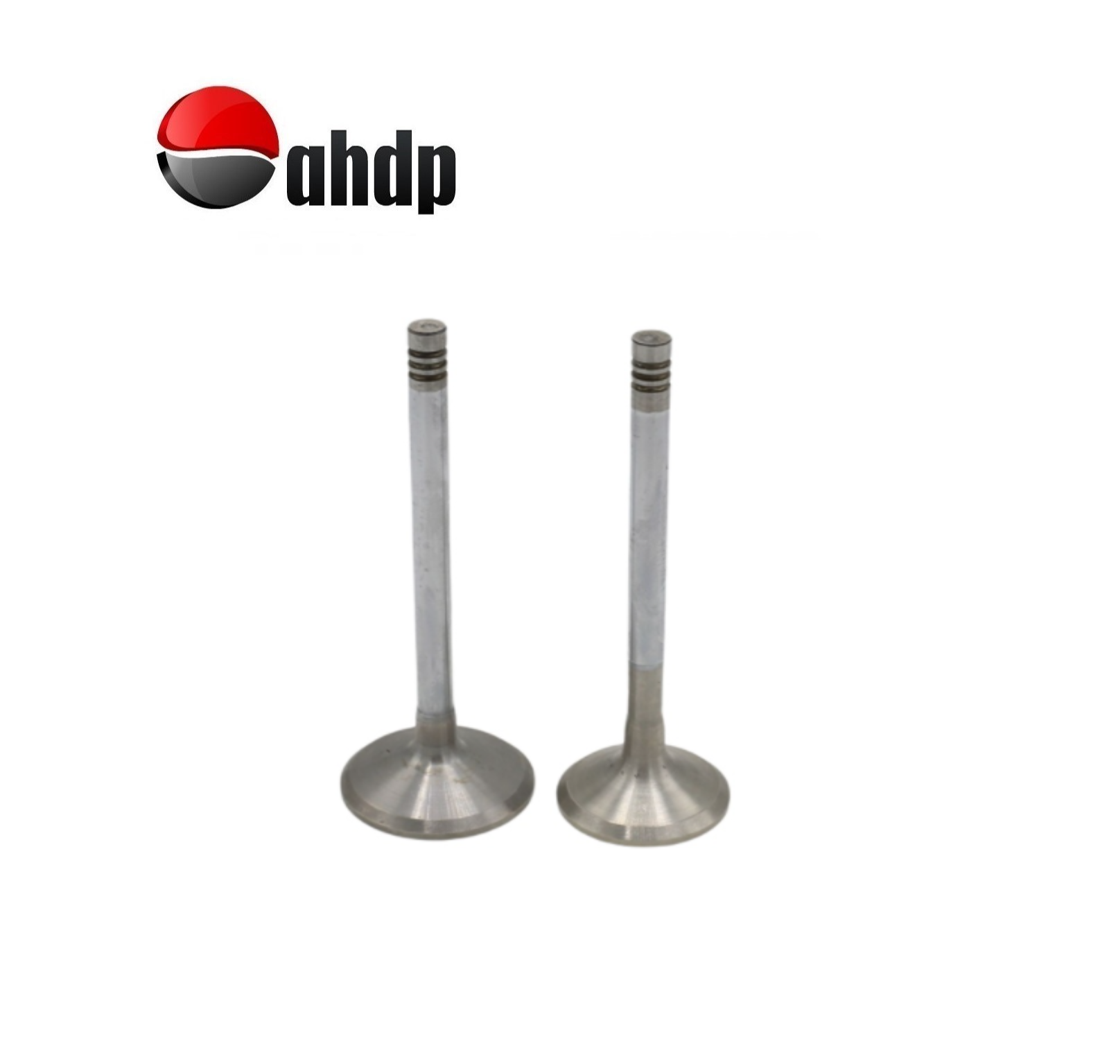 ENGINE VALVE SET IN+EX HATZ - HZ0104091001, HZ0104091100